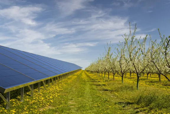 2018 Colombia 550 MW PV Fotografie panouri solare